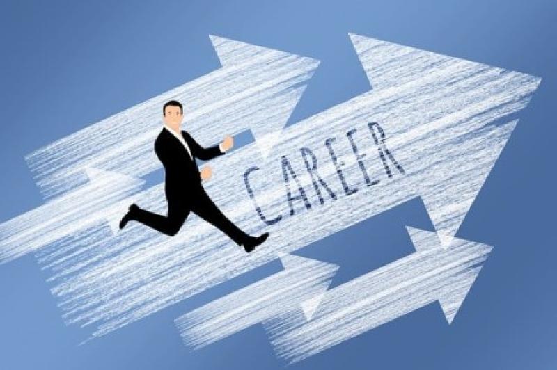 Career & Productivity